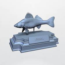 Image result for Sander lucioperca