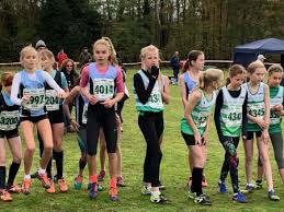 Image result for Thames Valley Harriers