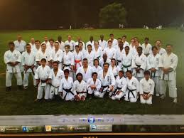 Image result for Shitokai Karate Club