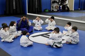 Image result for COURT FIELDS karate Academy