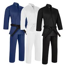 Image result for Bytomic Taekwondo