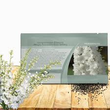 Attēlu rezultāti vaicājumam “Delphinium elatum  bud”