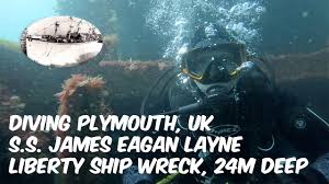 Image result for Plymouth Aquanauts
