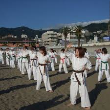 Image result for Imperial Karate Club