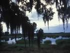 of coastal south carolina - via Daymix