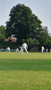 Image result for Henley Cricket Club