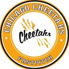 Image result for Cheetahs Softball Team