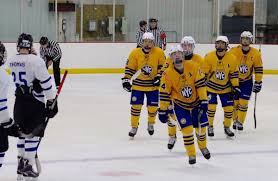Image result for Norton Cyclones Skater Hockey Club