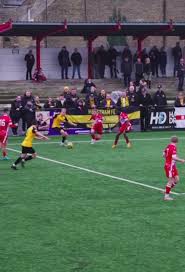 Image result for Merstham Football Club