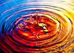 File:Ripple effect on water.jpg - Wikimedia Commons