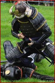 Image result for Budo Warrior Schools