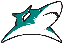 Image result for South Axholme Sharks Asc