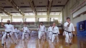 Image result for Mickleham Seiki Juku Karate Club