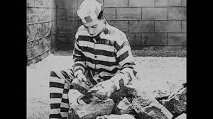 Image result for Freck Chain Gang