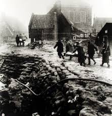 Image result for zeeland 1953