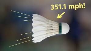 Image result for Flight Path Badminton Club