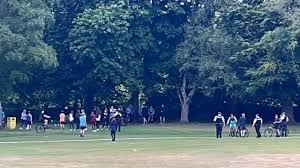Image result for Marnhull Cricket Club
