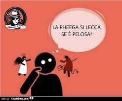 Image result for pheega