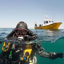 Image result for Maverick Divers