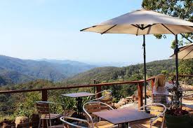 「Mt. Tamborine」的圖片搜尋結果