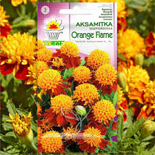 Attēlu rezultāti vaicājumam “Tagetes”