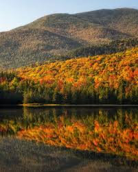 Image result for $$fall_akte__ort$$