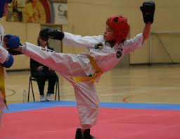 Image result for Wirral UKTA Taekwon-do
