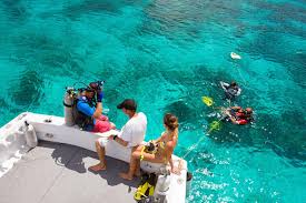 Image result for Dive Crew Scuba Diving