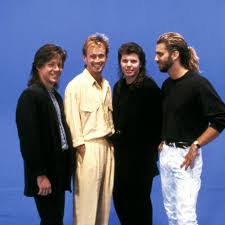 Image result for mister