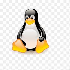 Image result for linux penguin