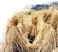 Image result for 붶