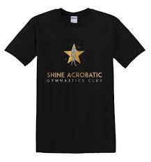 Image result for Stevenage Sports Acro Club