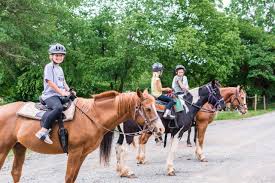 Image result for Greenways Riding Stable Lower Eashing