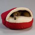 Designer Pet and Dog Beds - Snoozer Pet Products