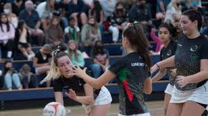 Image result for Falcons Netball Club