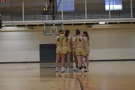 Image result for Elmbridge Girls Basketball Club