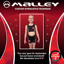 Image result for Custom Gymnastics Club