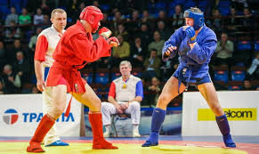 Image result for Combat Sambo