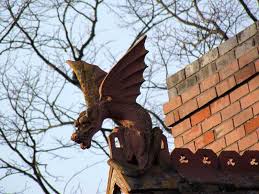 Image result for leicester dragons