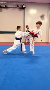 Image result for Shitokai Karate Club