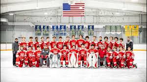 Image result for Norwich Dragons Hockey Club