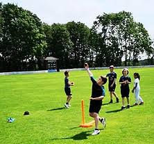 Image result for Brymbo Cricket Club