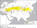 Archaeology of the Eurasian Steppes and Mongolia - Annual Review ... 