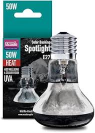 Risultati immagini per arcadia basking solar flood