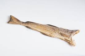 Image result for Gadus macrocephalus