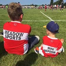 Image result for Meadow Sports Badminton Club