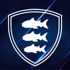 Image result for St Ives Rugby Club