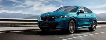 Image result for BMW X6