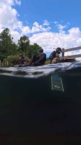 Image result for Richmond-Freediving (London)