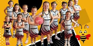 Image result for Helensburgh Netball Club